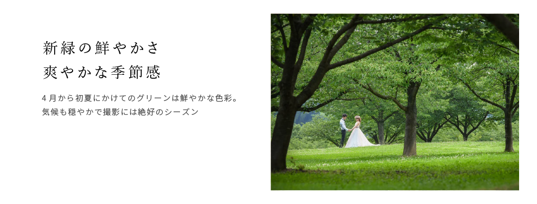 dada_web-09.png